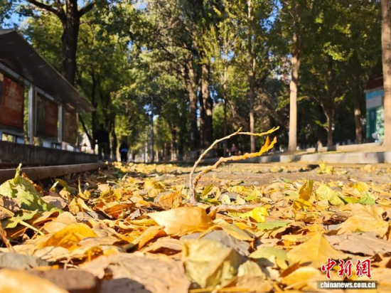 S54·܉܇ؾh(hun)߅L(fng)òS~䁝M· z