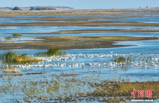 1016գĪĪҼȻo^(q)Ȱڑˮ(o˙CƬ)w z