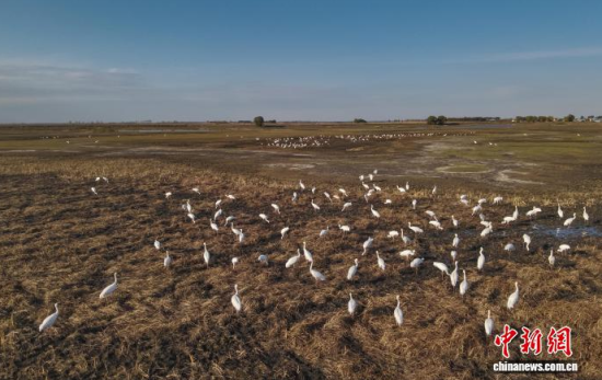 1016գڼĪĪҼȻo^(q)ȰQϢ(o˙CƬ)w z