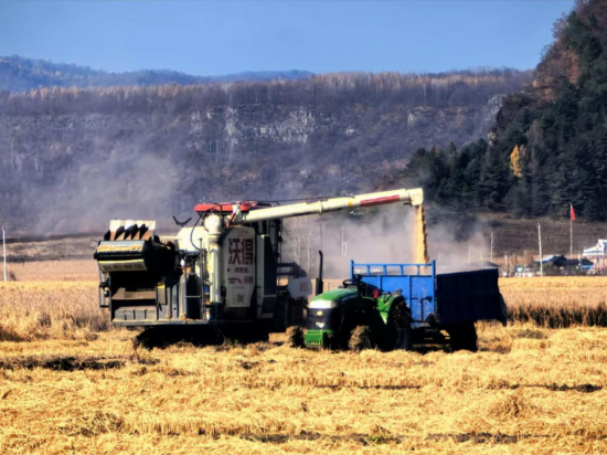 和龍市委宣傳部/供圖 和龍市委宣傳部/供圖