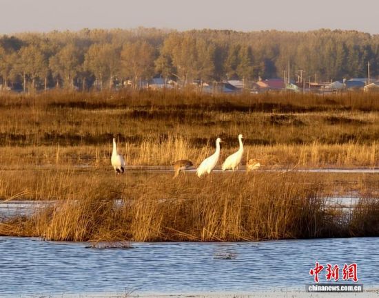 ؚwQȺġС()˰QȺwr z