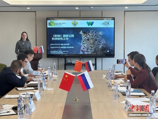 _˹ҷo(h)|(jng)(yn) z