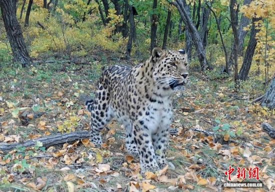 2025ږ|(gu)ҹ@ĔzĖ|(ҕýD)