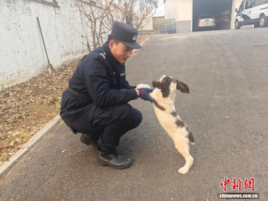 Ҳc[B(yng)Hܶʯ z